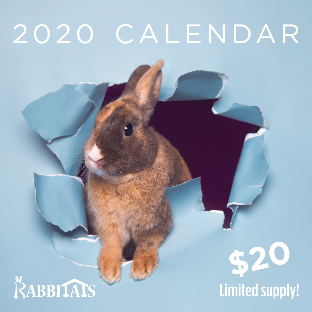 Bunny Calendar 2020 - A fundraiser to support rescue rabbits