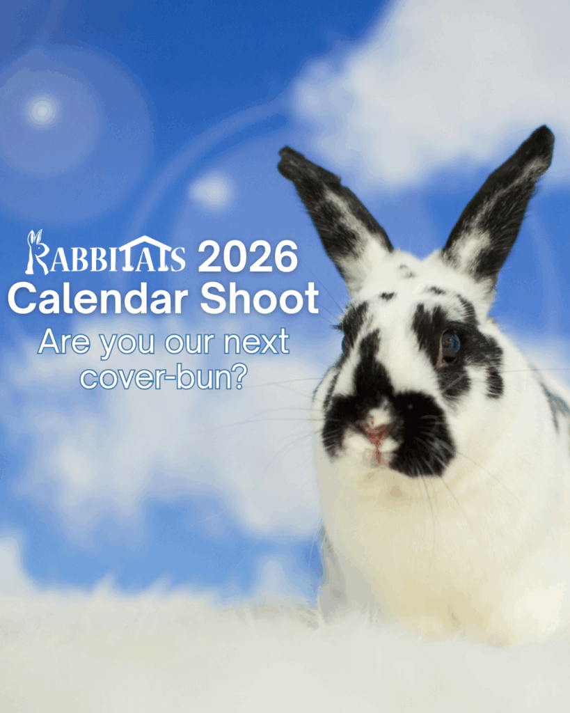 Featuring YOUR Bunny in Our 2026 Calendar - Rabbitats