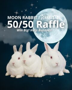 Rabbitats Moon Rabbit 50/50 Raffle Win big! Help bunnies!
